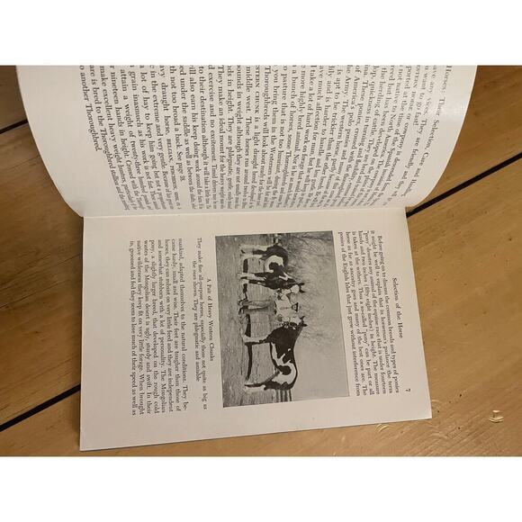 VTG Horses their selection, care & handling book. Margaret Self. h/c 1946 - Picture 5 of 6